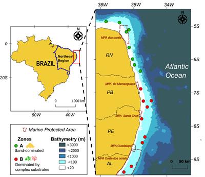 Competing with each other: Fish isotopic niche in two resource availability contexts